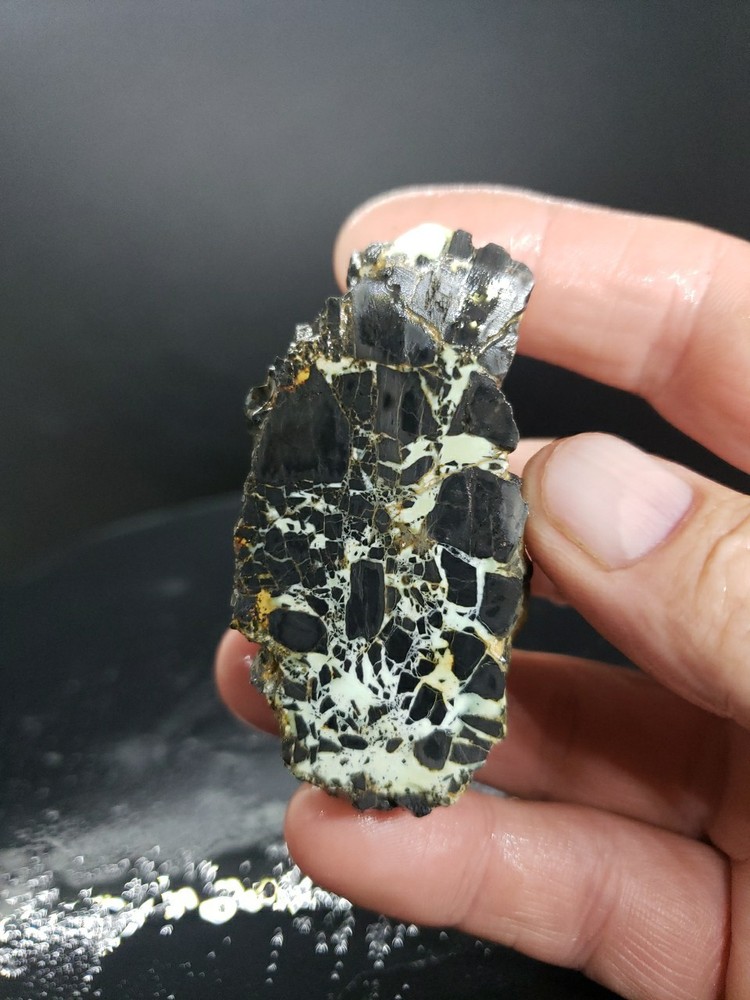 Nevada Gecko Variscite Rough