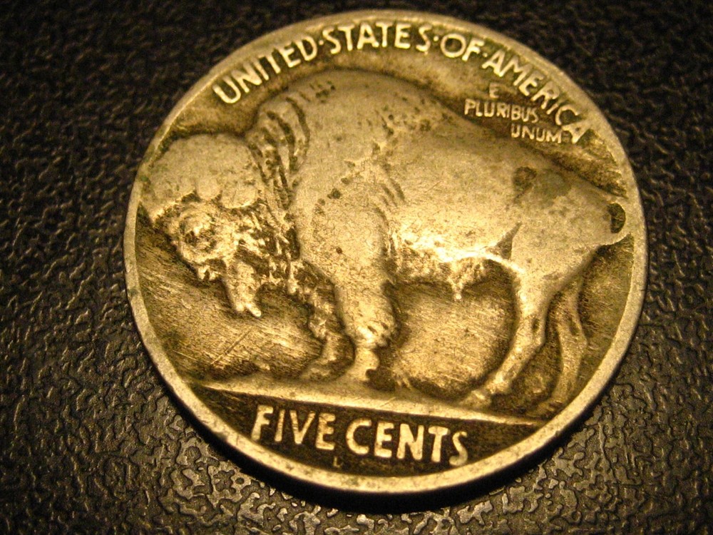 1919-D Buffalo Nickel #2