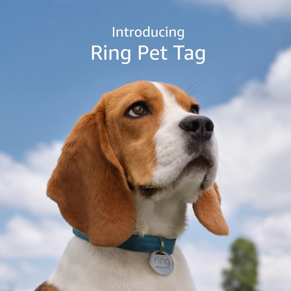 Ring Pet Tag | Easy-To-Use Tag with QR Code | Real-Time Scan Alerts | Shareable