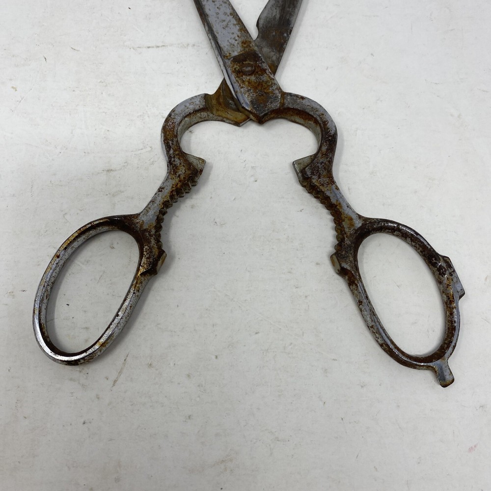 Kitchen Scissors, 8”, Chrome Marks 201C, Italy