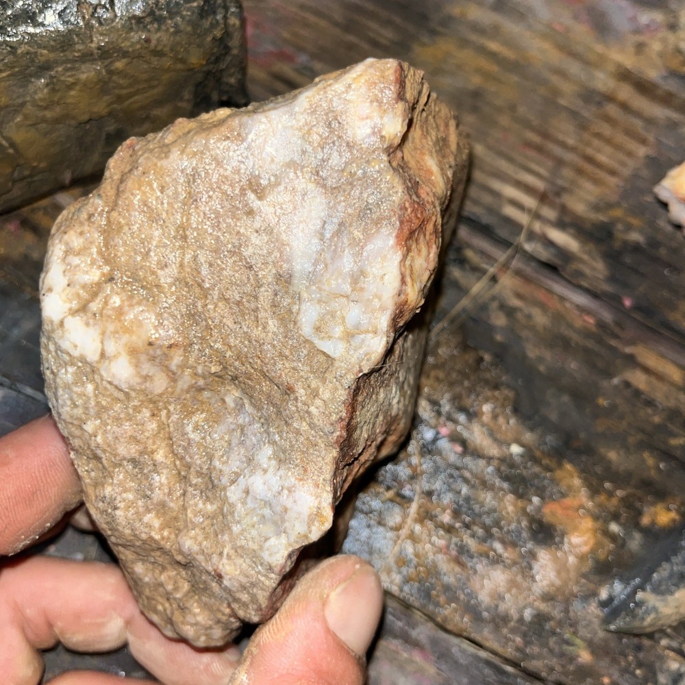Rare Extremely High Grade Gold Ore in Quartz Specimen