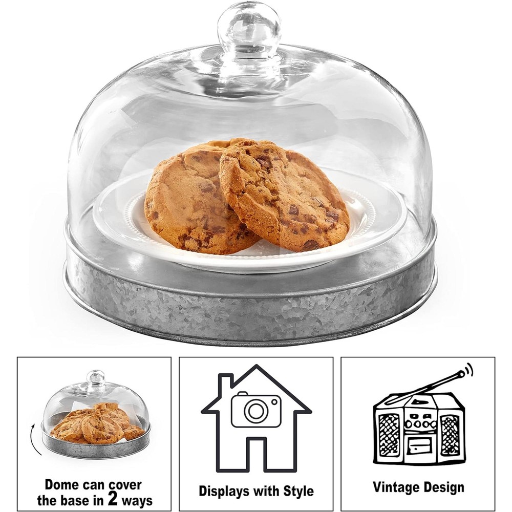 SkyMall Galvanized Metal and Glass Dome Server - Silver