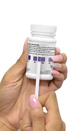 481027 WaterWorks Chloride Check Test Strips