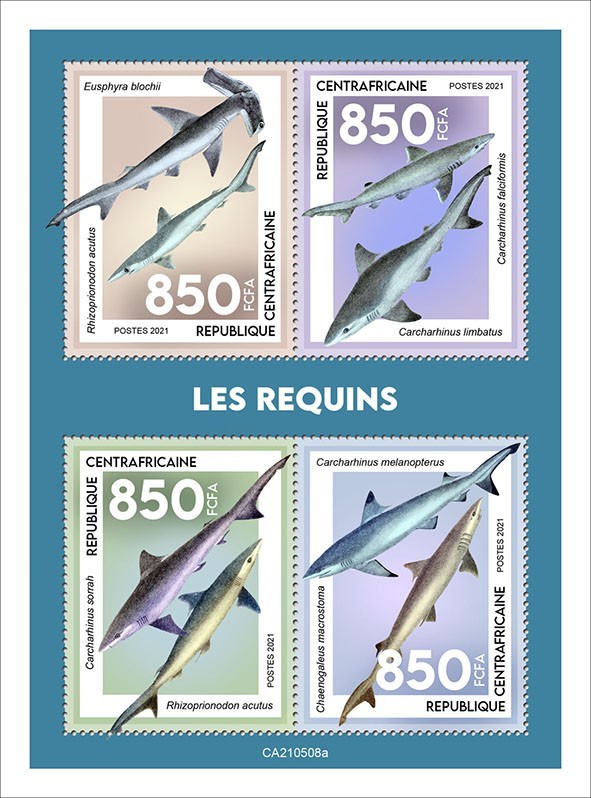 Sharks