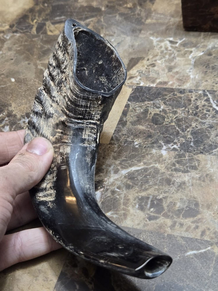 HANDMADE HORN BLOW HORN ANTLER