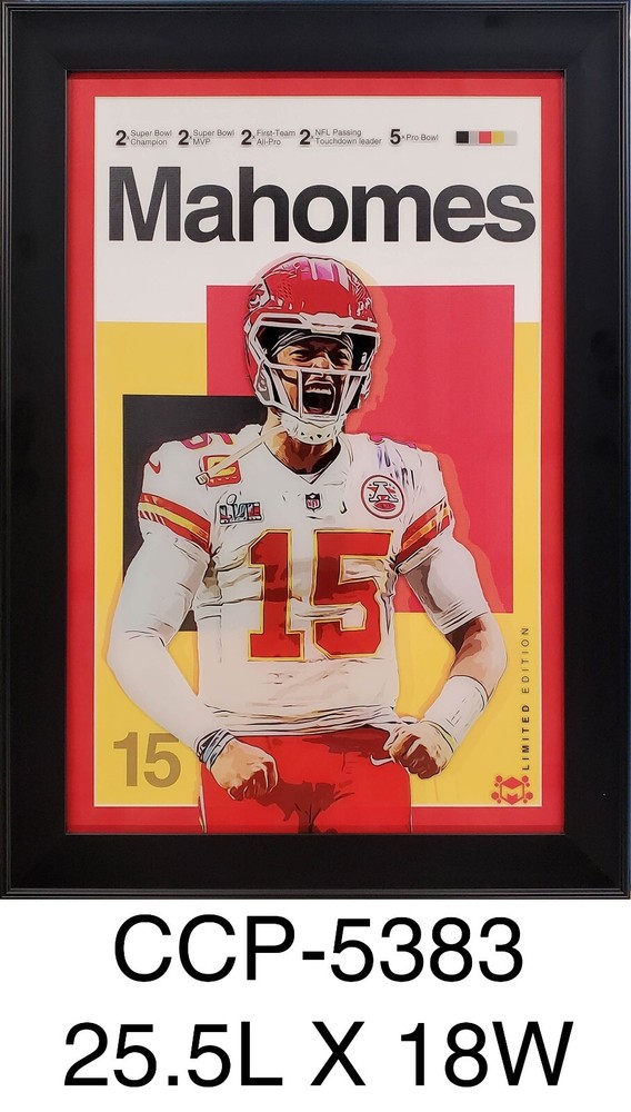 USED Coldesi Compress UV-600s UV Printer with Software