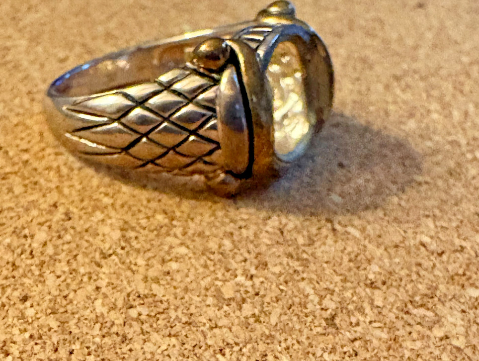 NF Sterling Silver 925 Gold Vermeil Ring BLANK Setting Python Design Shank SZ 6