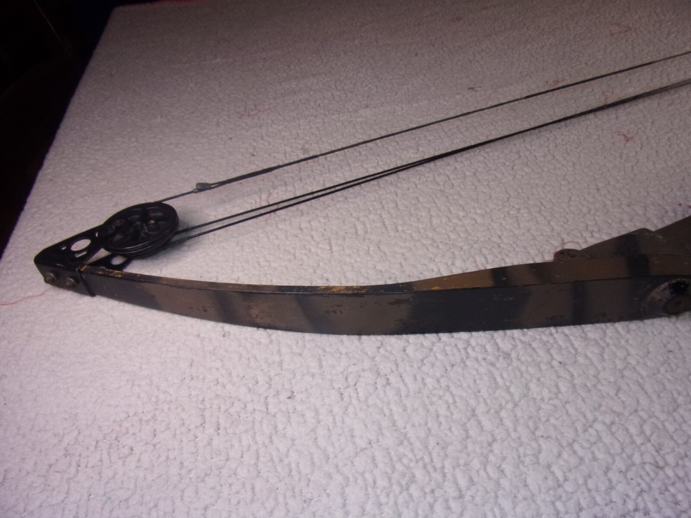 Darton Trail Master Vintage Compound Bow