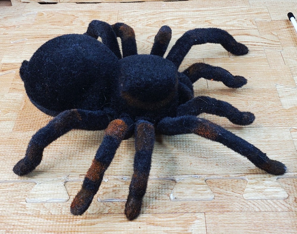 Radio Controlled Tarantula Simulation Spider Series Blue Eyes Tested Works