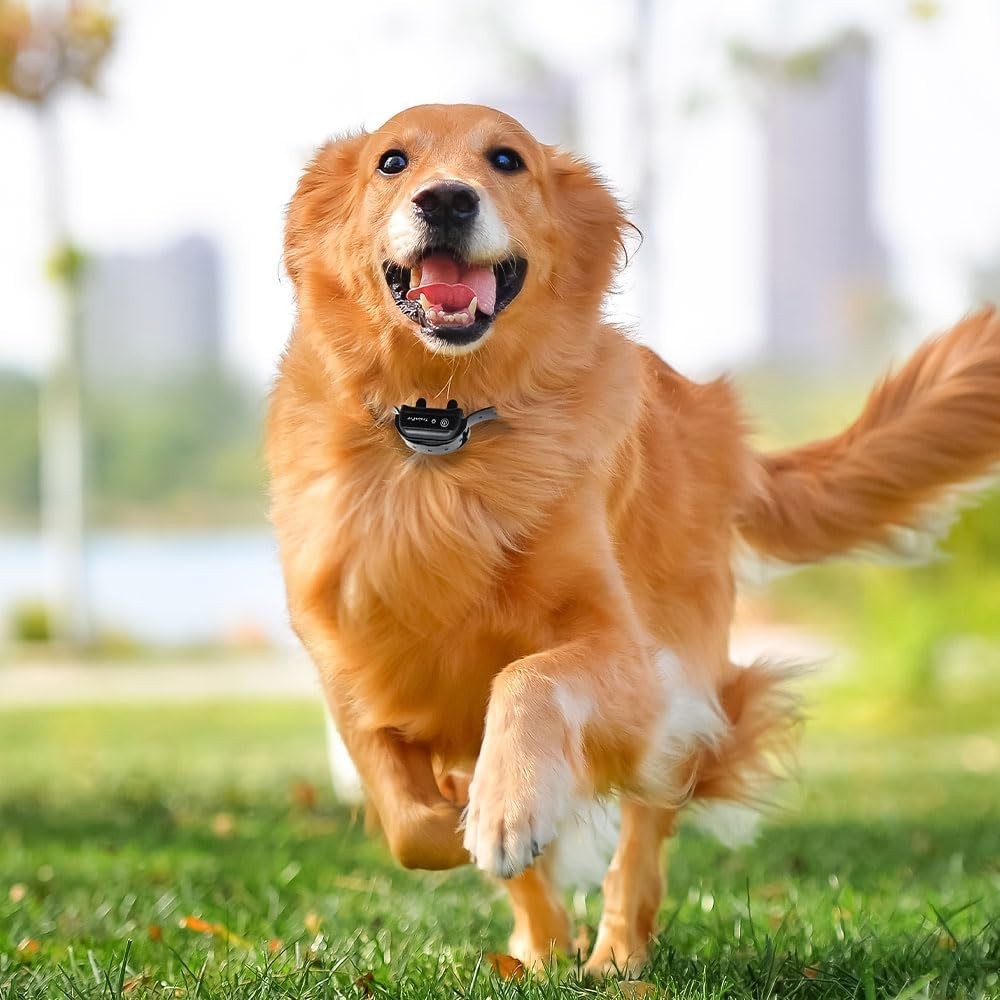 Universal Adjustable Waterproof Dog Training Collar Replacement Strap 28"