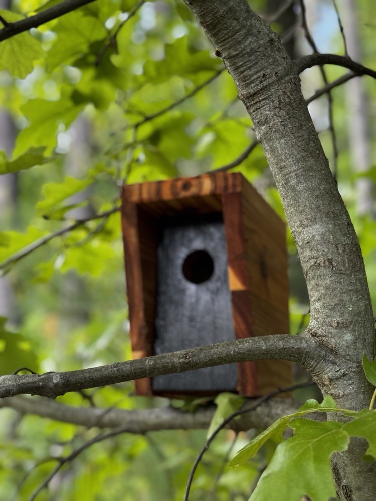 Bird Houses