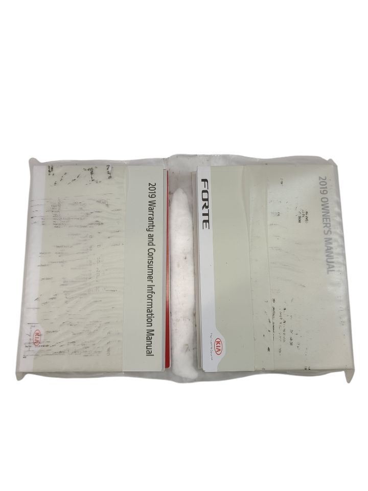 FORTE 2019 Owners Manual 611272