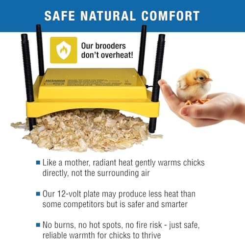 Brinsea Ecoglow Safety 600 Chick or Duckling Brooder, Assorted Sizes