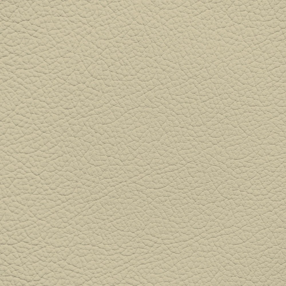 Jaguar Parchment Leather Dye