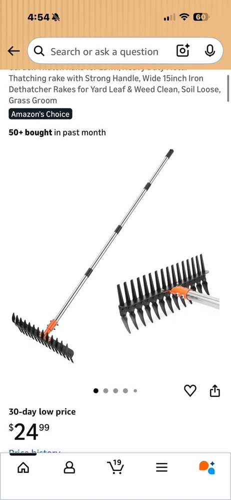 Thatch Rake