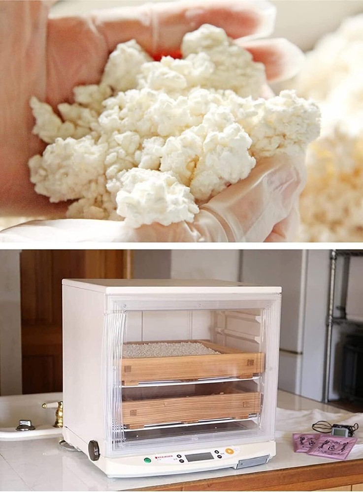 KOJI KIN Koji Mold starter for AMAZAKE MISO SAKE Komekoji 20g for 15kg Japan