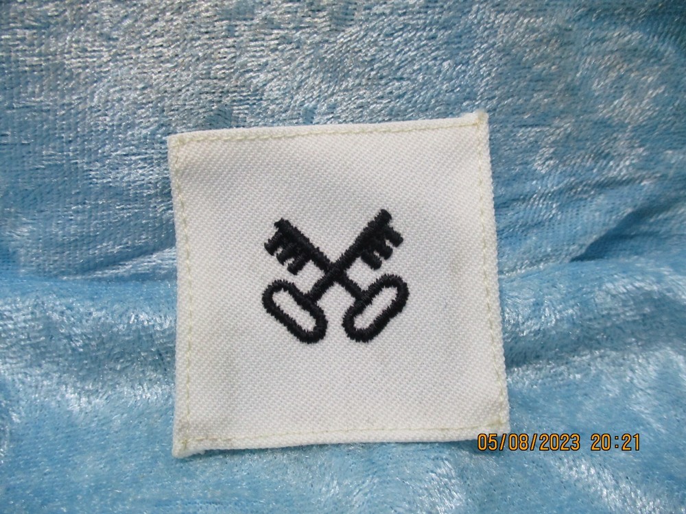 US Navy Seaman Electronic Tech Military Patch