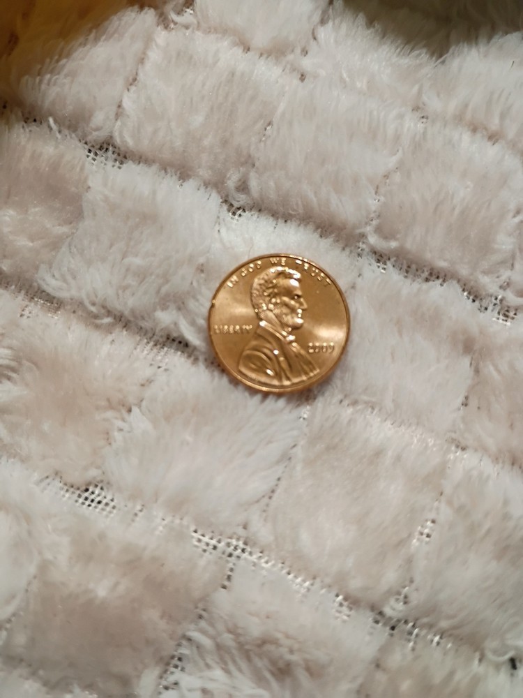 2009 Lincoln Cent Formative Years DDR FS-807