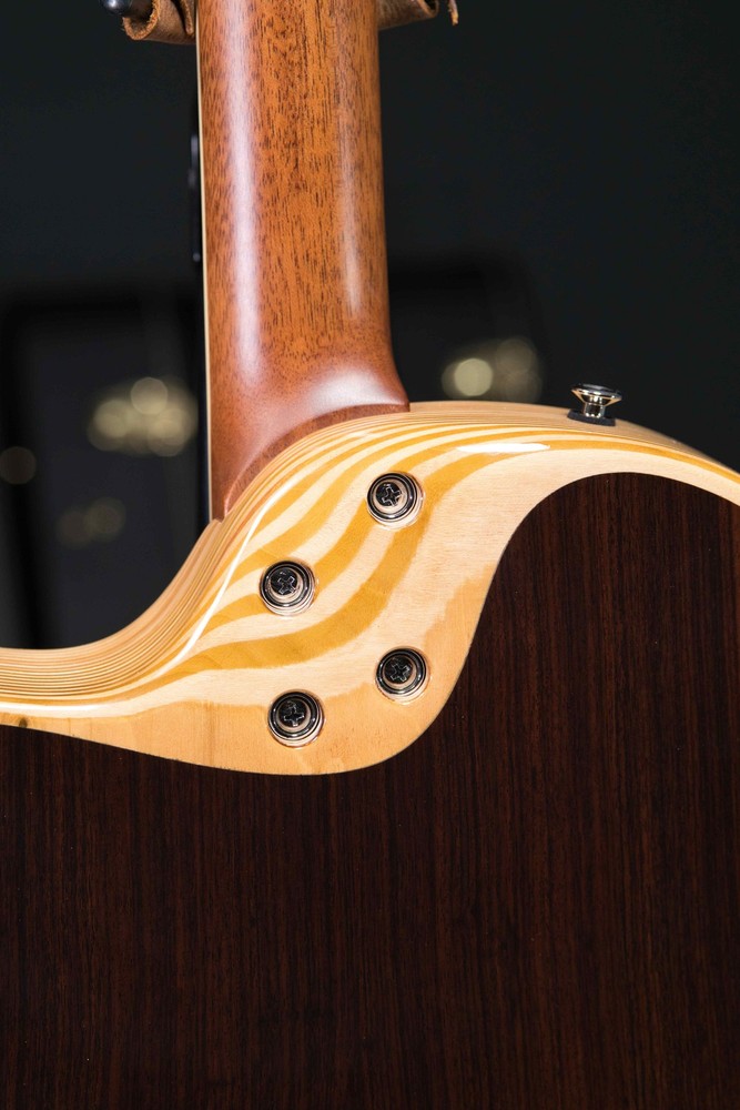 LR Baggs AEG-1 Torrefied Top