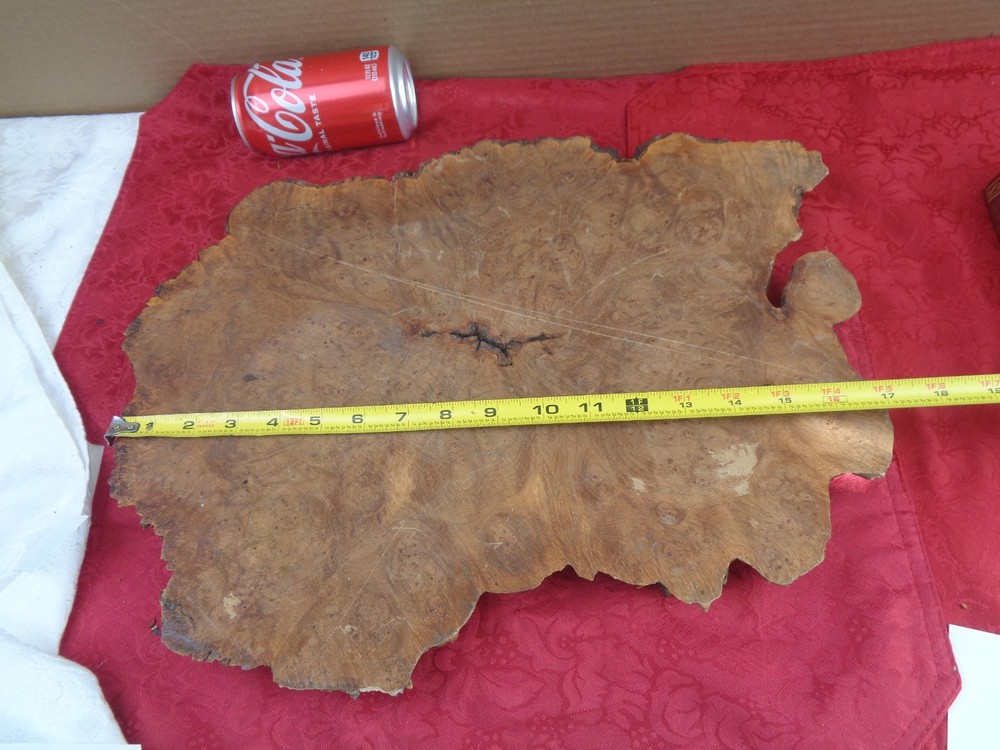 Burlwood Tree Slice #7