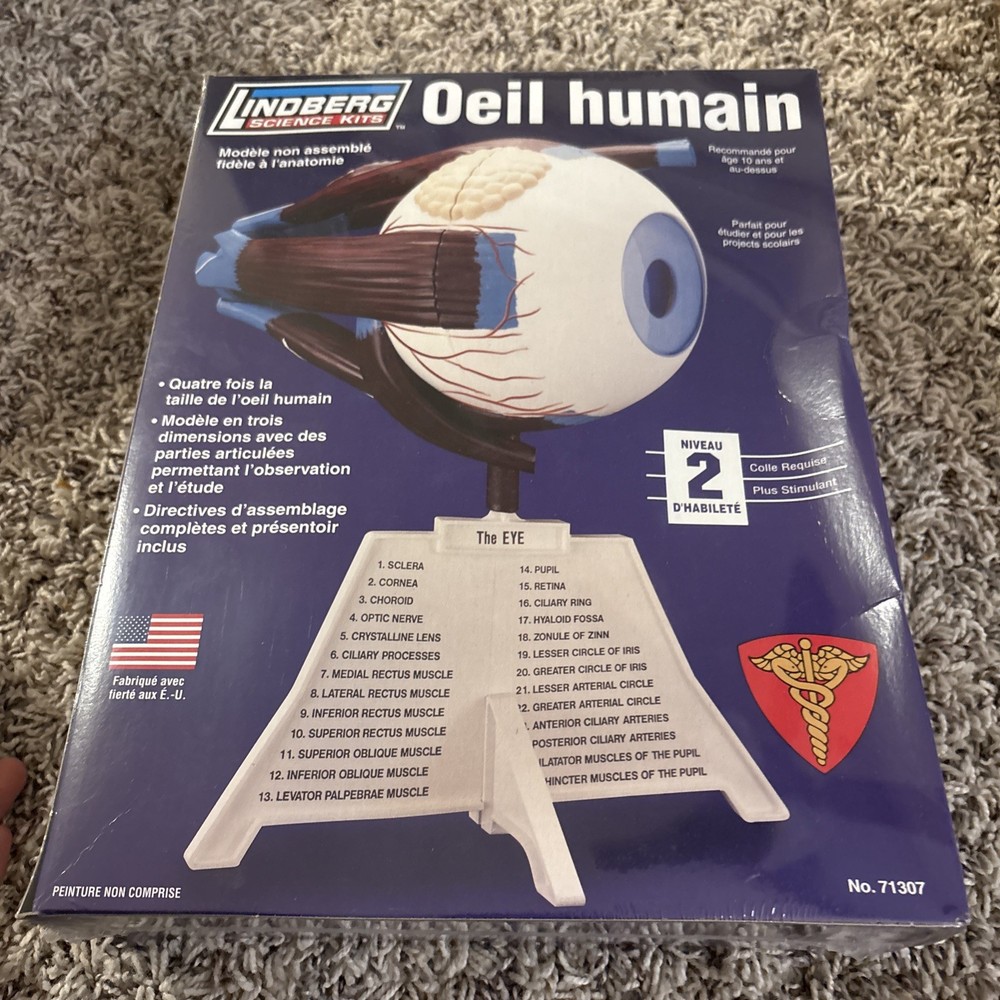 2 Lindberg Model Kits - Brain & Skull, Human Eye,