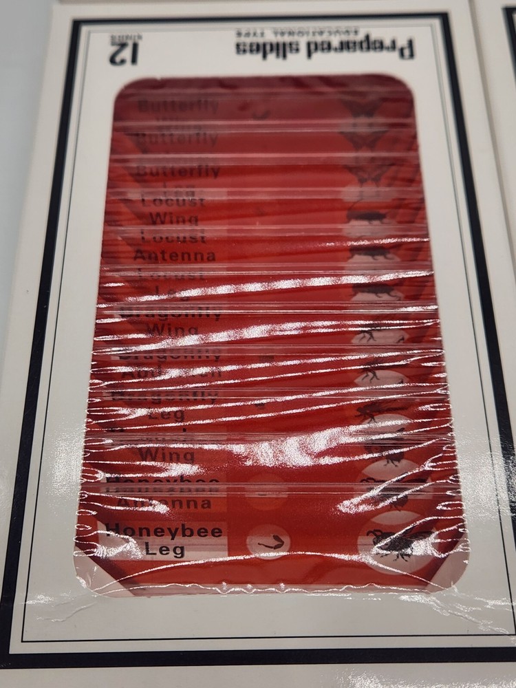 DIY-Science Prepared‎ Slides Educational Type - 48 Plastic Microscope Slides