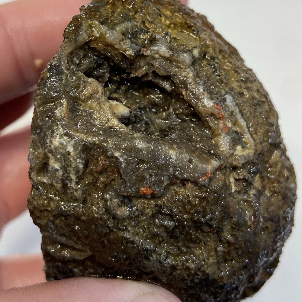 Orange Dendritic Agate Rough Lapidary Half 10.74 Oz