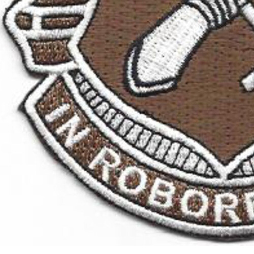 267th Quartermaster Regiment Patch