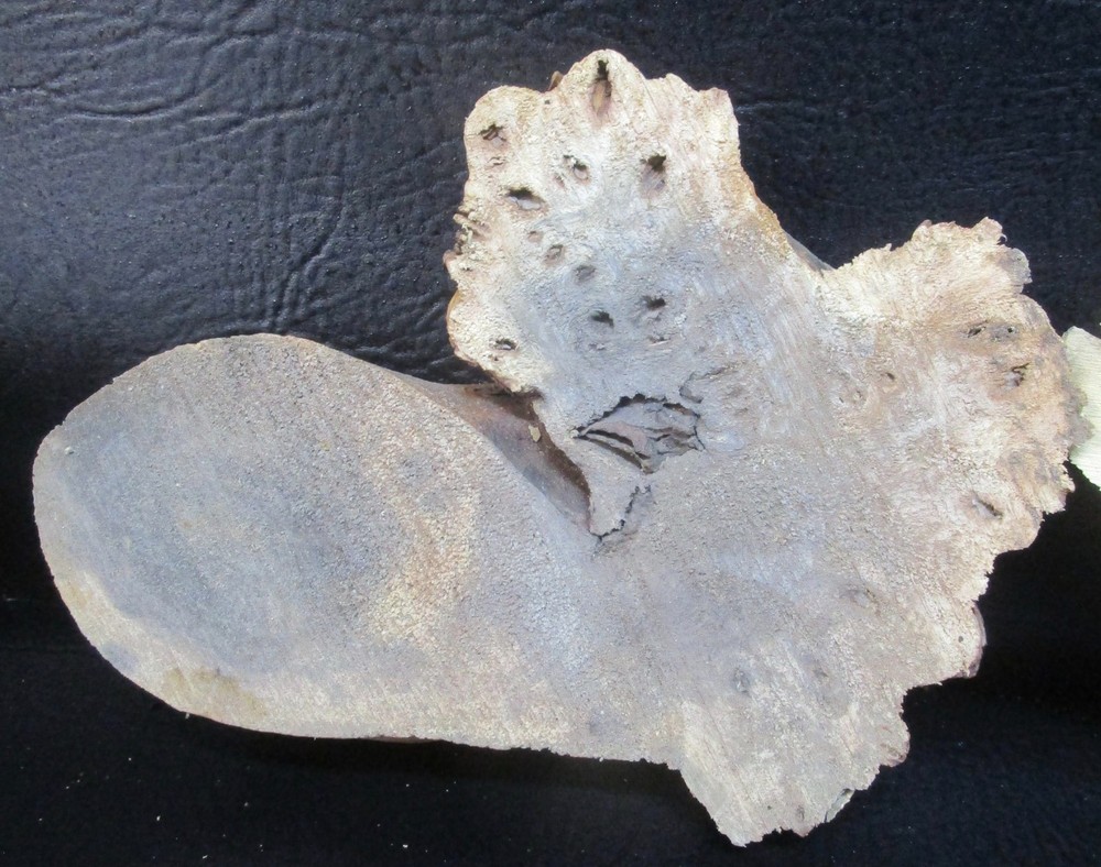 3pc Buckeye Burl slabs/cut offs #D558 assorted sizes