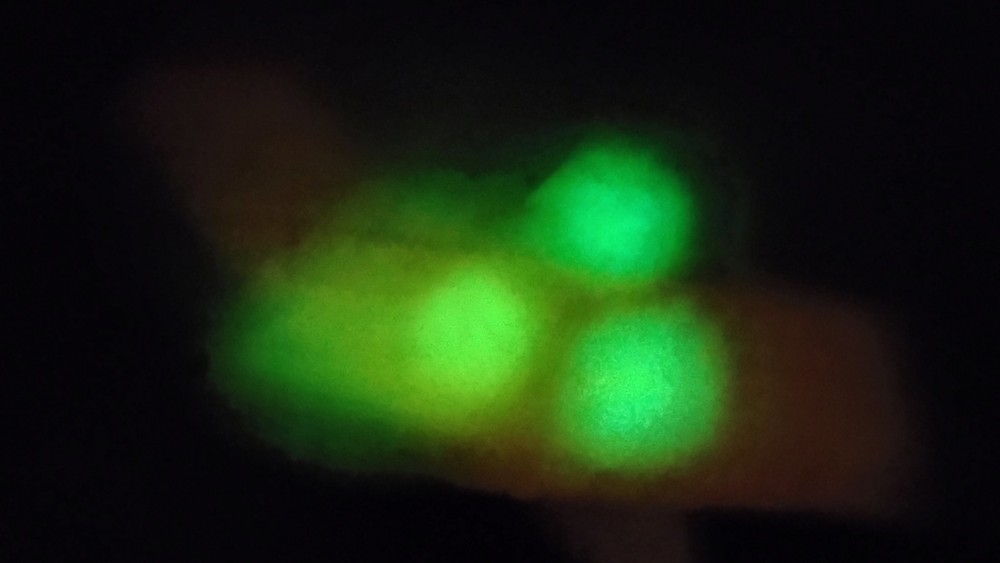 Fluorescent & Phosphorescent Travertine ( Cave Calcite & Aragonite)