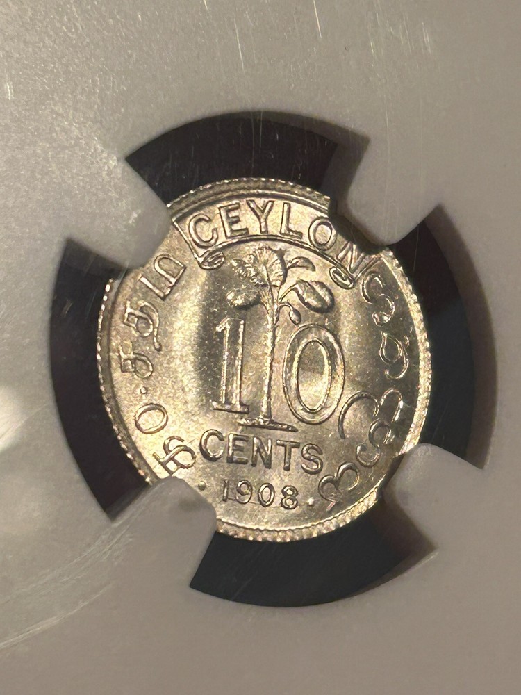 Ceylon 10 Cents 1908 MS66 Top Pop