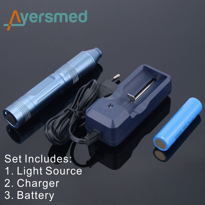 High-Brightness 10W LED Rechargeable Portable Endoscope Light Source for ENT