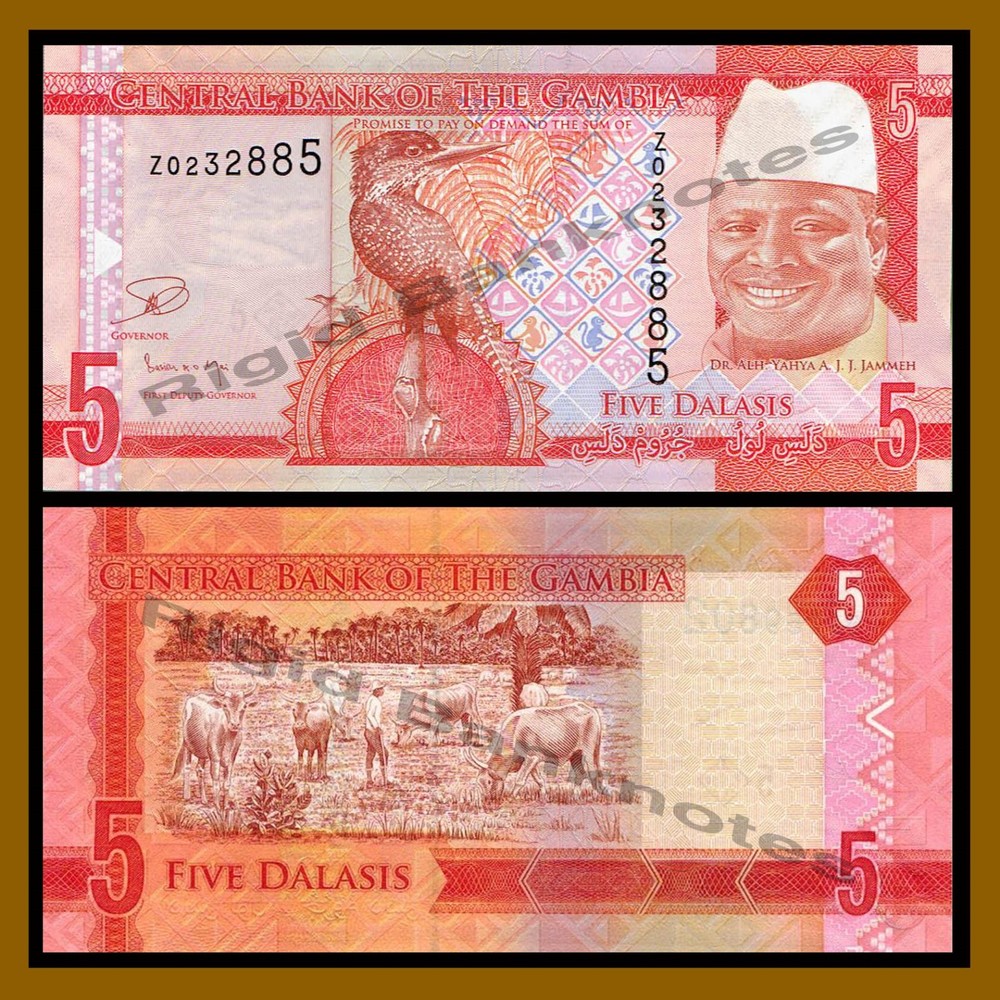 Gambia 5 Dalasis, 2015, P-31, UNC, REPLACEMENT