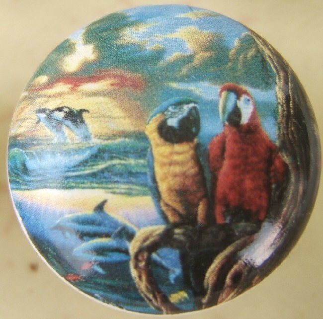 Cabinet Knobs W/ Parrots #2 @Pretty@ Tropical BIRD