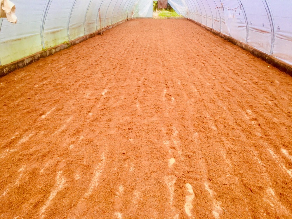 ORGANIC COMPOST HYDROPONIC GROWING MEDIA | COCO COIR COCO PEAT | 100% NATURAL