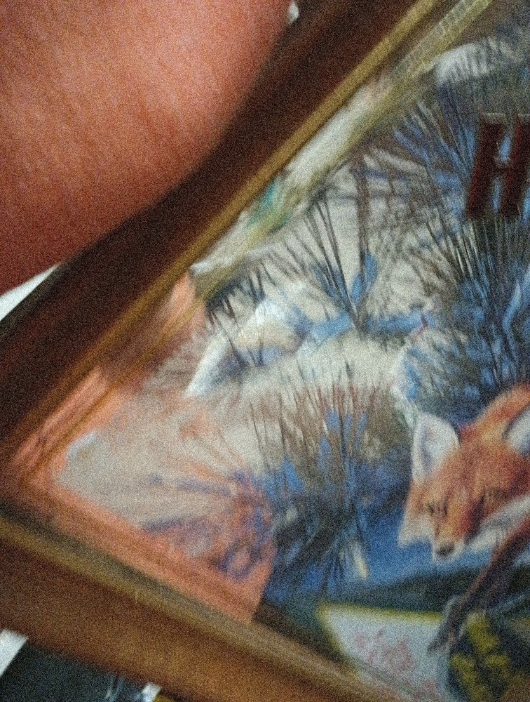 Miller High Life Sly Fox Beer Mirror