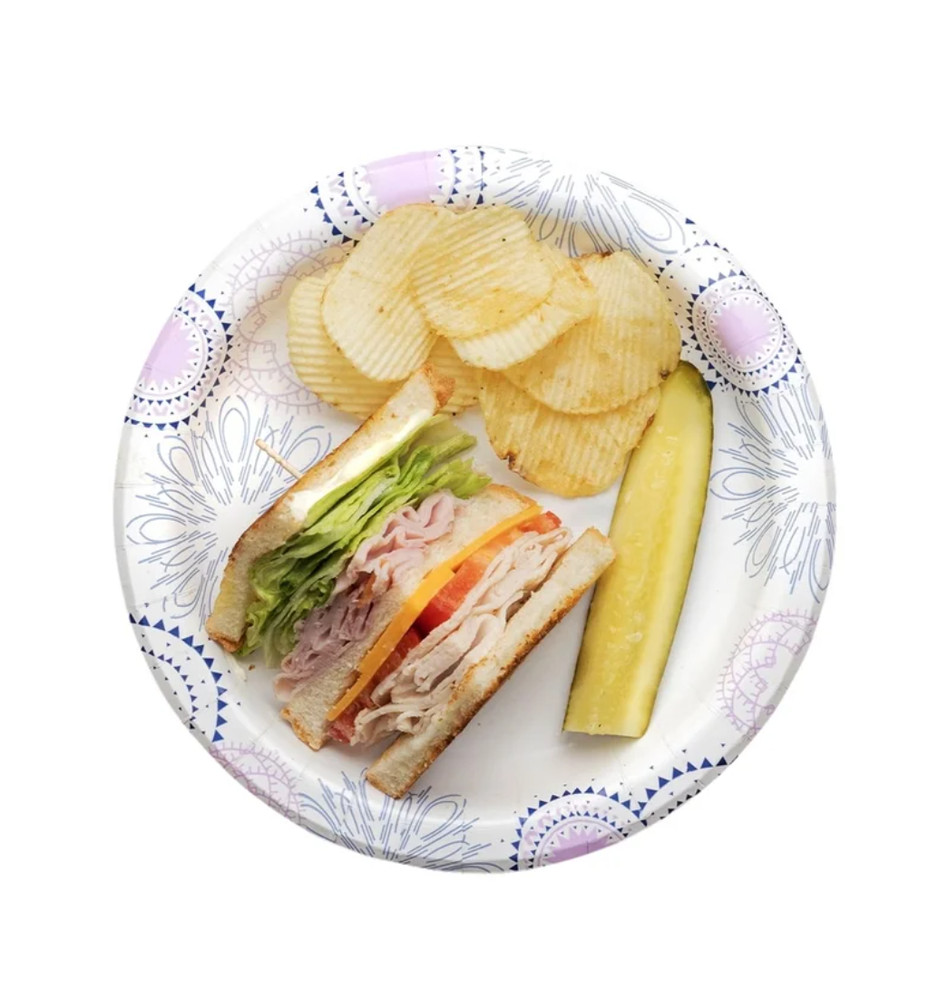 Great Value Disposable Paper Plates, 8.5", 300 Count