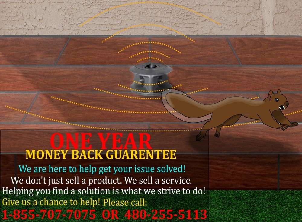 Electronic Squirrel Repeller | Cleanrth Three-Stage ComboSonic Squirrel Control