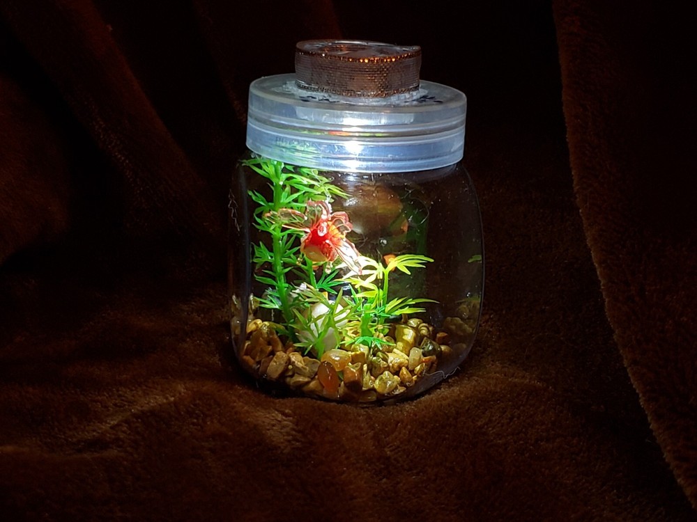 Bamboo Baby Goldfish Bowl