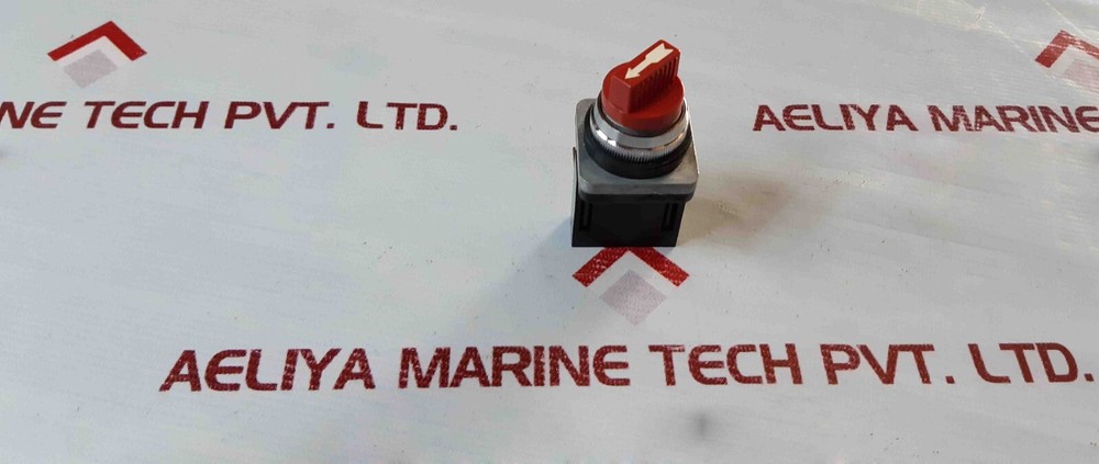 Maruyasu Dengyo CS2L Selector Switch 10A