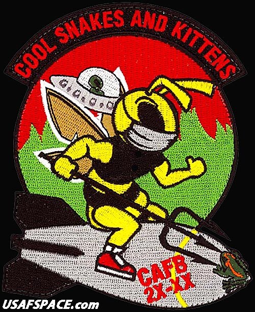 USAF SPECIALIZED PILOT TRAINING -CLASS 2020-20- COOL SNAKES AND KITTENS - PATCH