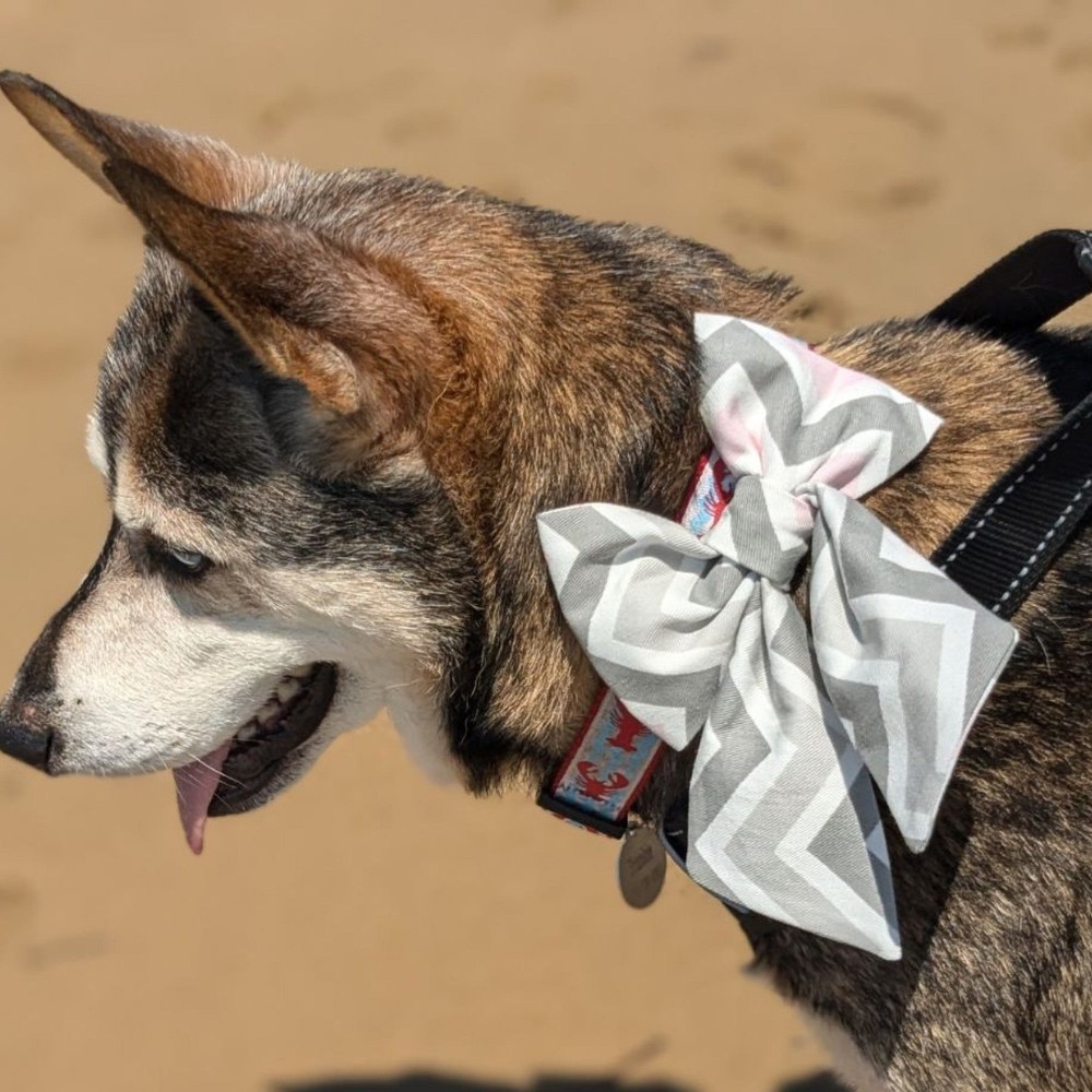 Triangles Pet Bow Tie or Sailor Bow-4 Sizes Available