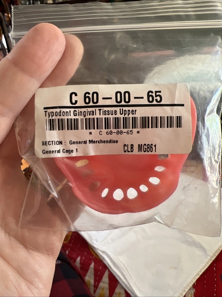 Typodont Gingival Tissue Upper CLB Model
