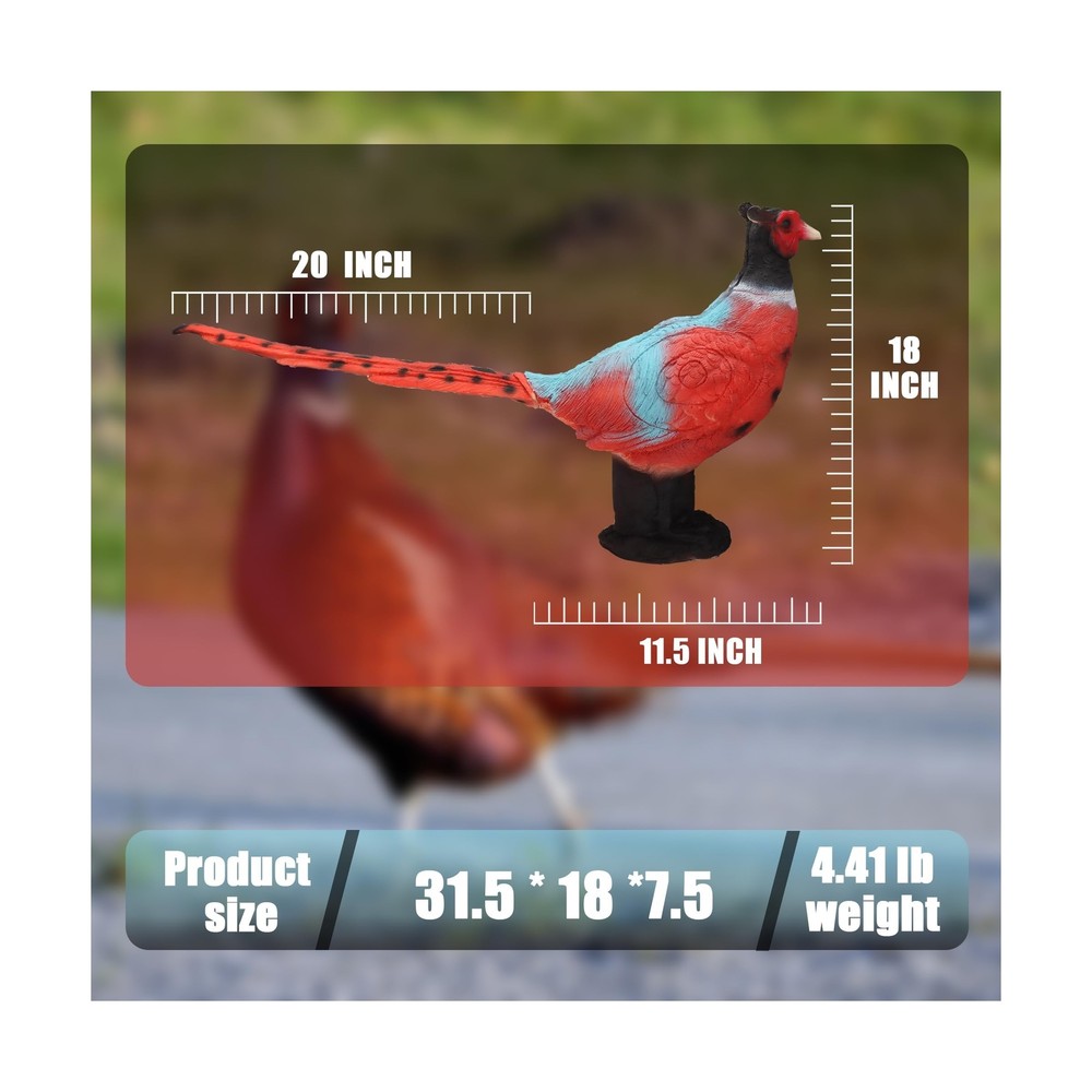 Archery Animal Target 3D Pheasant with Two-Sided Shooting Range and Yard Stak...