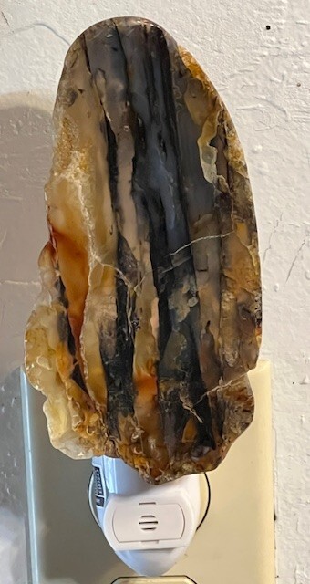Extra Large Agatized Petrified Wood Night Light, Yellowstone River stone