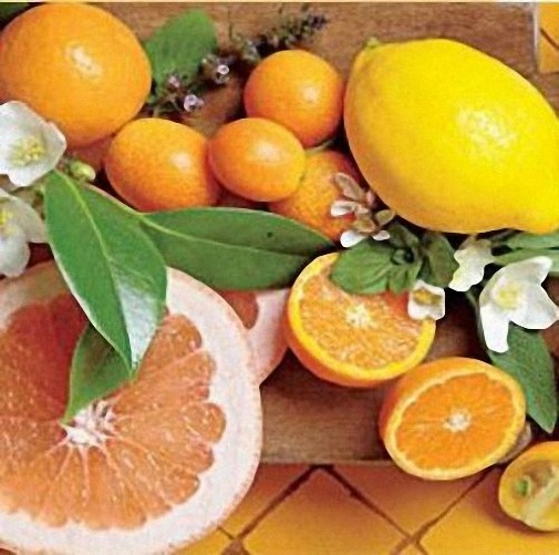 4 oz Candle Scent Oil-CITRUS & SAGE