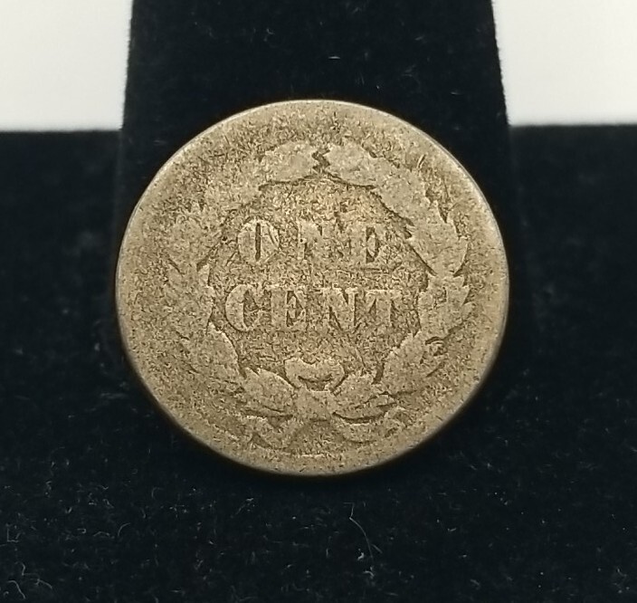 1859 Indian Head Penny #2902