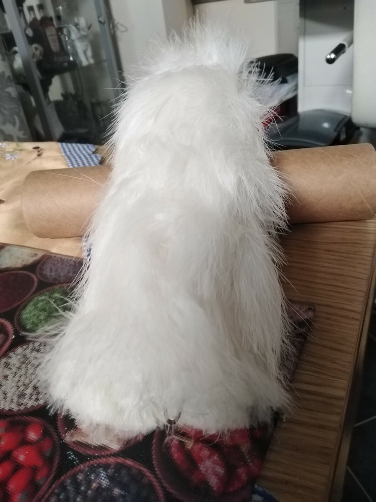 Plume/Hackle