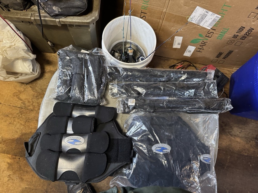 Harness and squeezee Harness’s lot