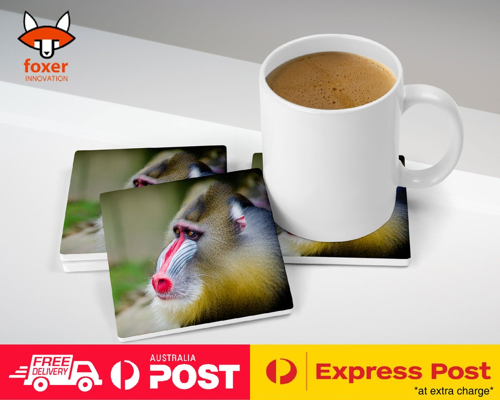 COASTER COFFEE DRINKING MAT|MANDRILL MONKEY APE PRIMATE 2